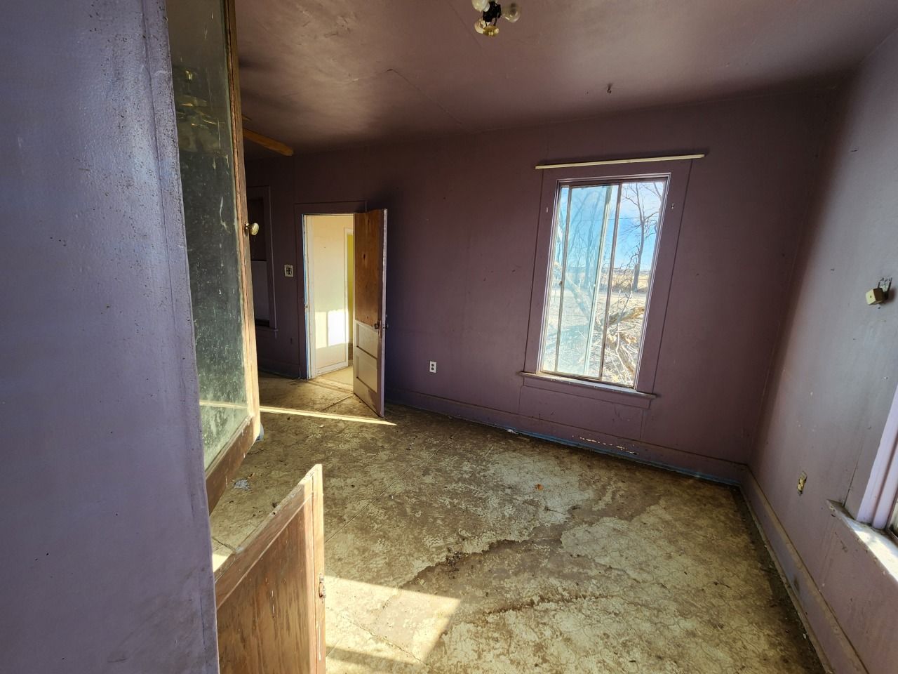 Empty, sunlit room with purple walls, worn floor, and a window overlooking trees.