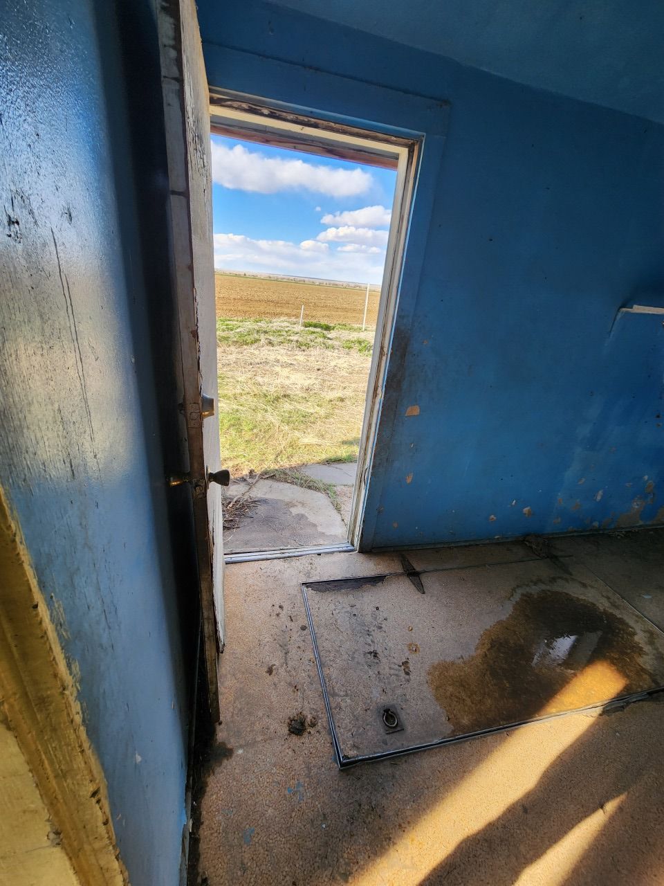 Narrow blue room with an open doorway to a sunny field and light streaming onto the floor