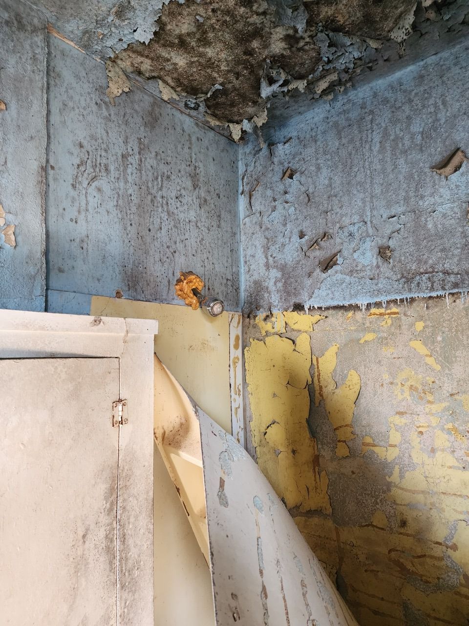 Moldy, water-damaged corner of a room with peeling blue and yellow walls and a white cabinet.