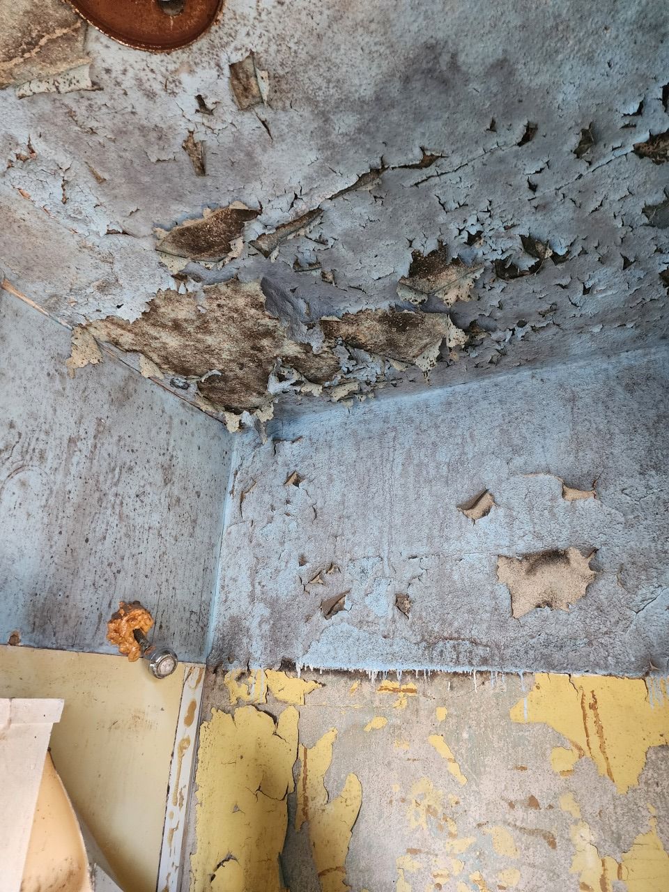 Severely damaged room corner with peeling paint, mold, and crumbling ceiling above yellowed walls.