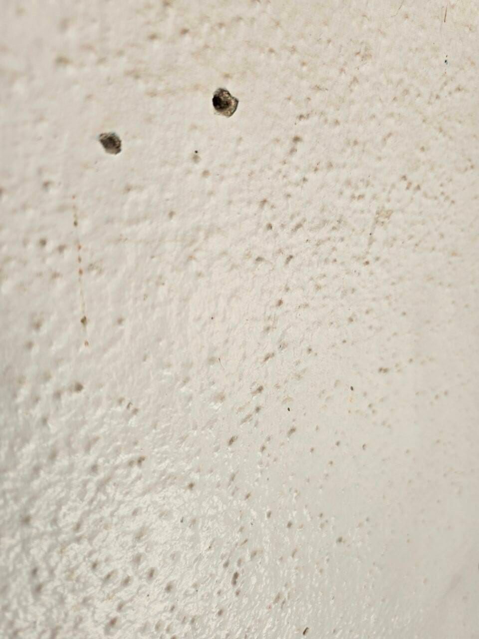 Close-up of an off-white textured wall with a small dark spot near the upper left.