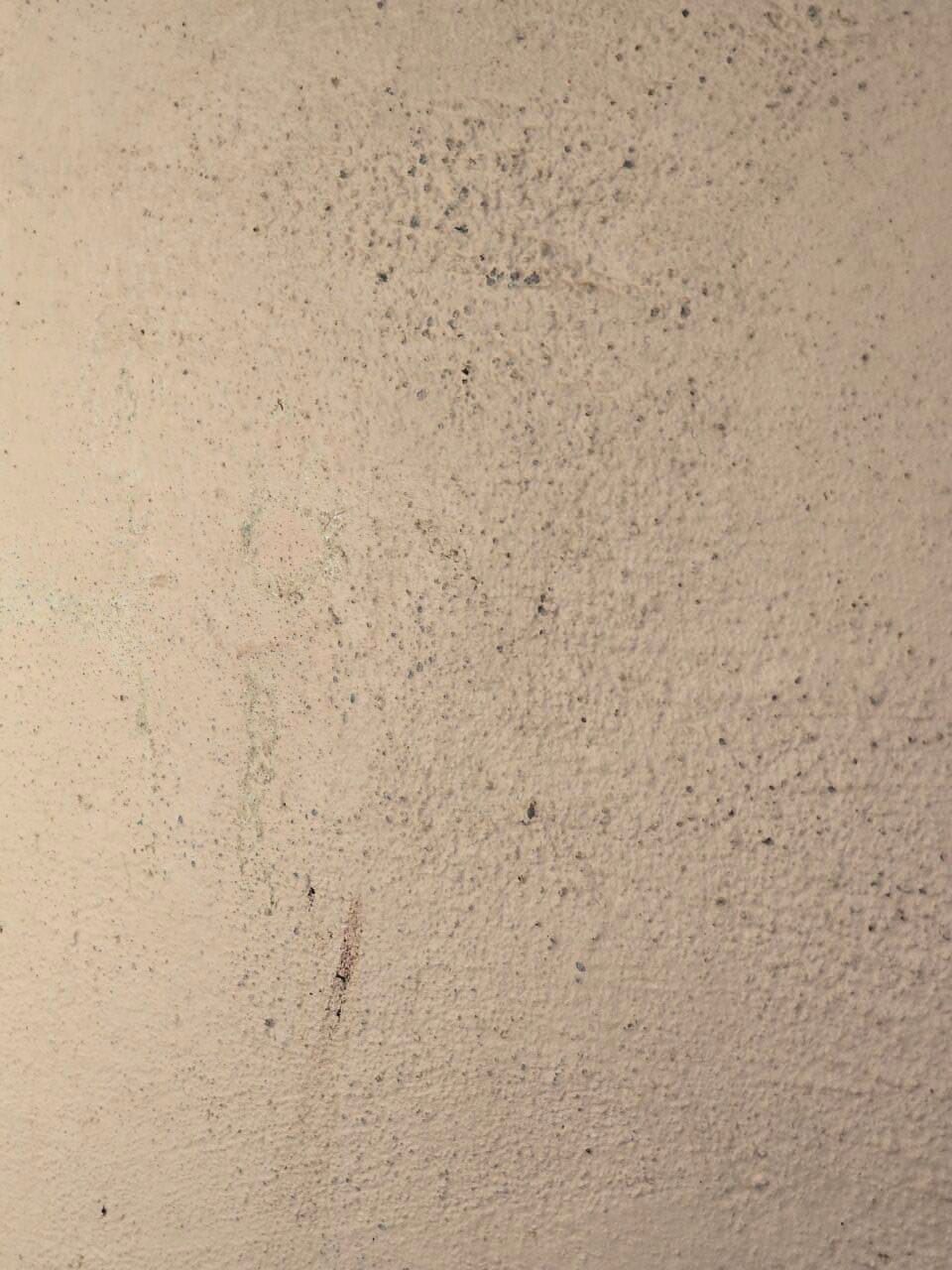 Close-up of a beige, speckled wall with a small vertical scratch near the lower left. Close-up of a beige, speckled wall with a small vertical scratch near the lower left.