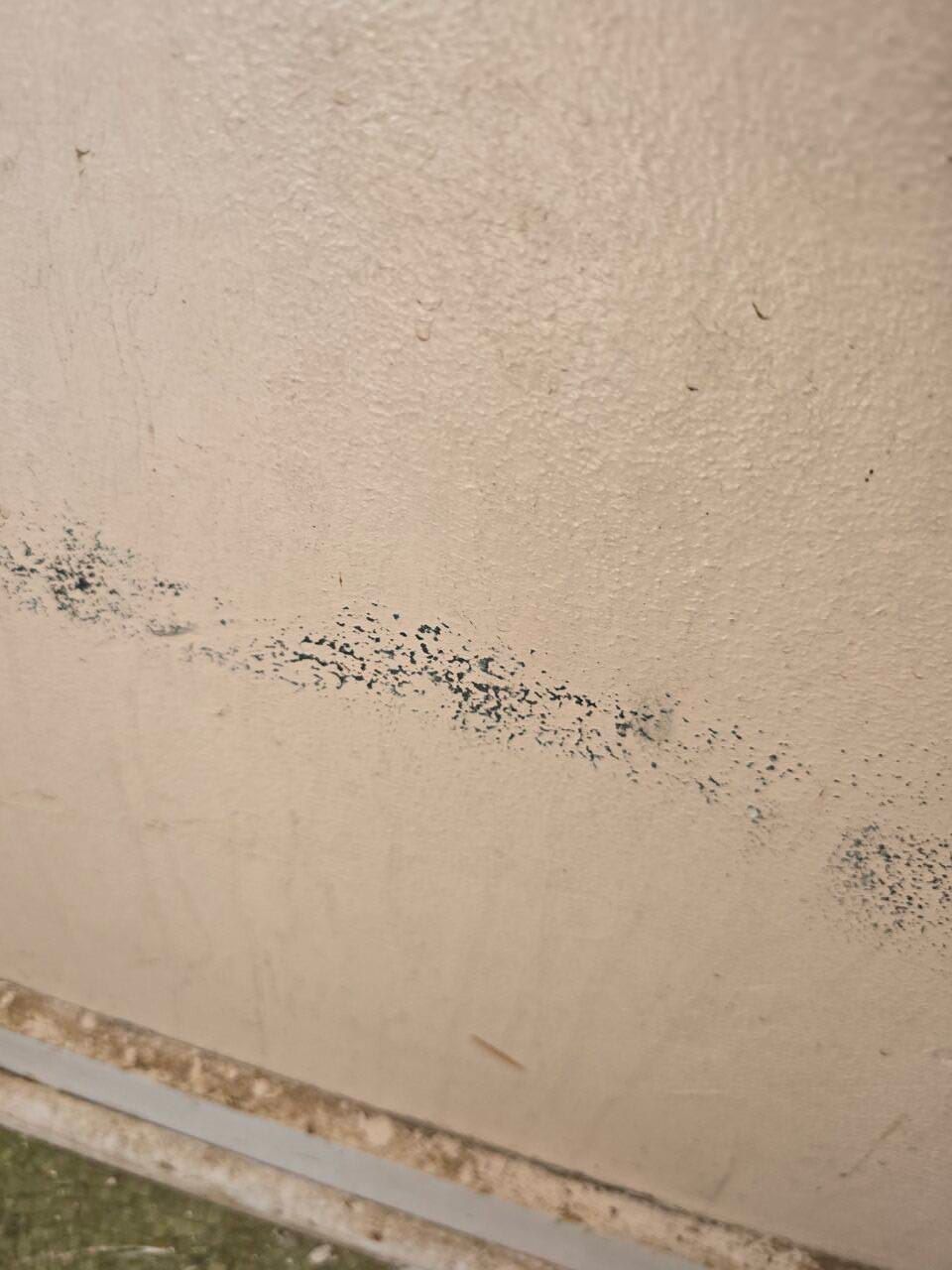Beige wall with a diagonal streak of black specks and grime near the bottom edge Beige wall with a diagonal streak of black specks and grime near the bottom edge
