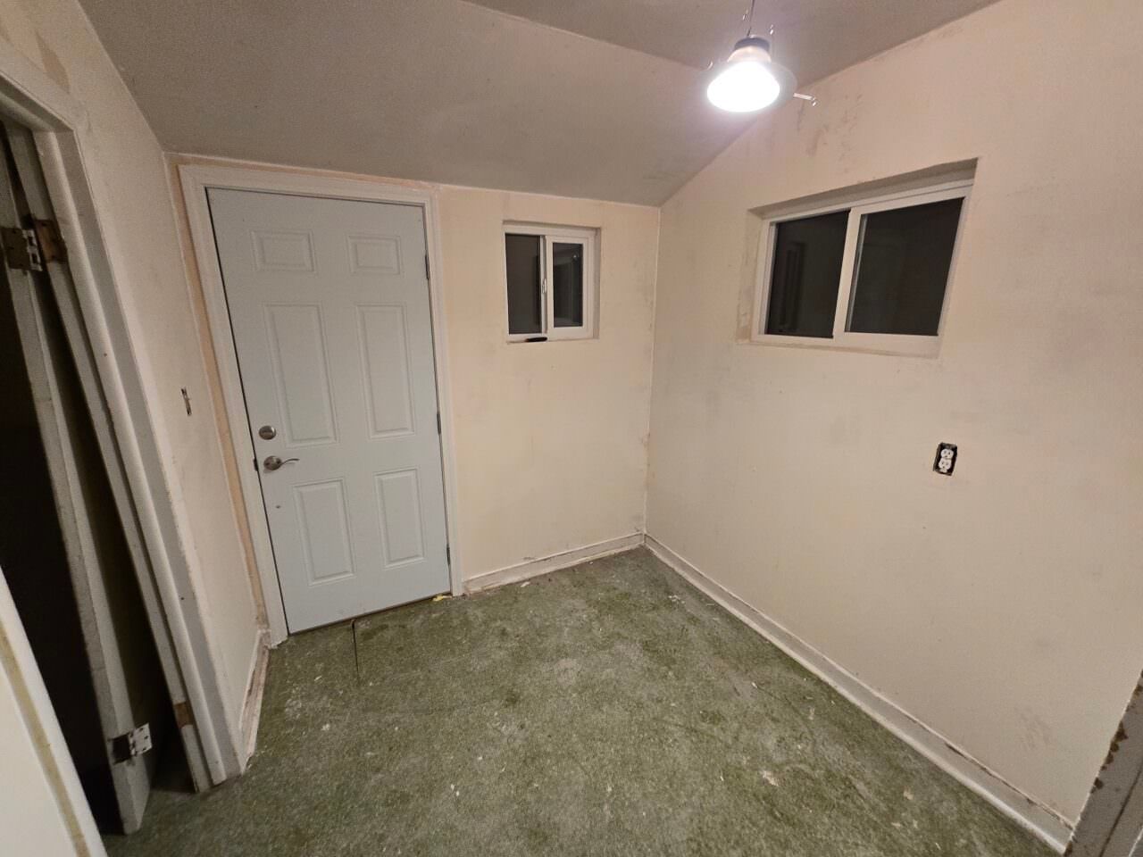 Empty beige room with green carpet, white door, and two small windows under a ceiling light.
