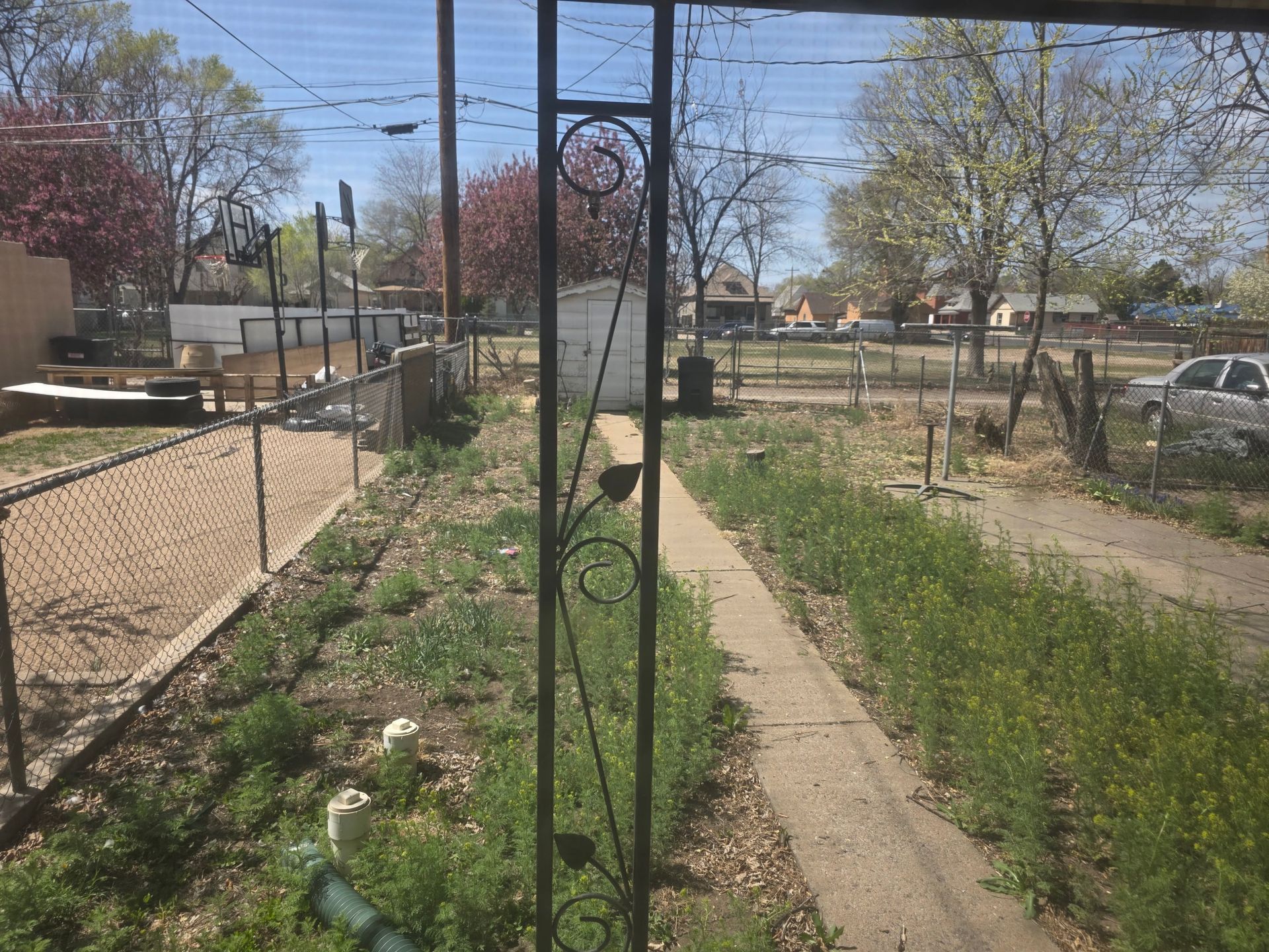 Rural garden path beside chain-link fence, with weeds, trees, and a metal arch trellis overhead. Rural garden path beside chain-link fence, with weeds, trees, and a metal arch trellis overhead.