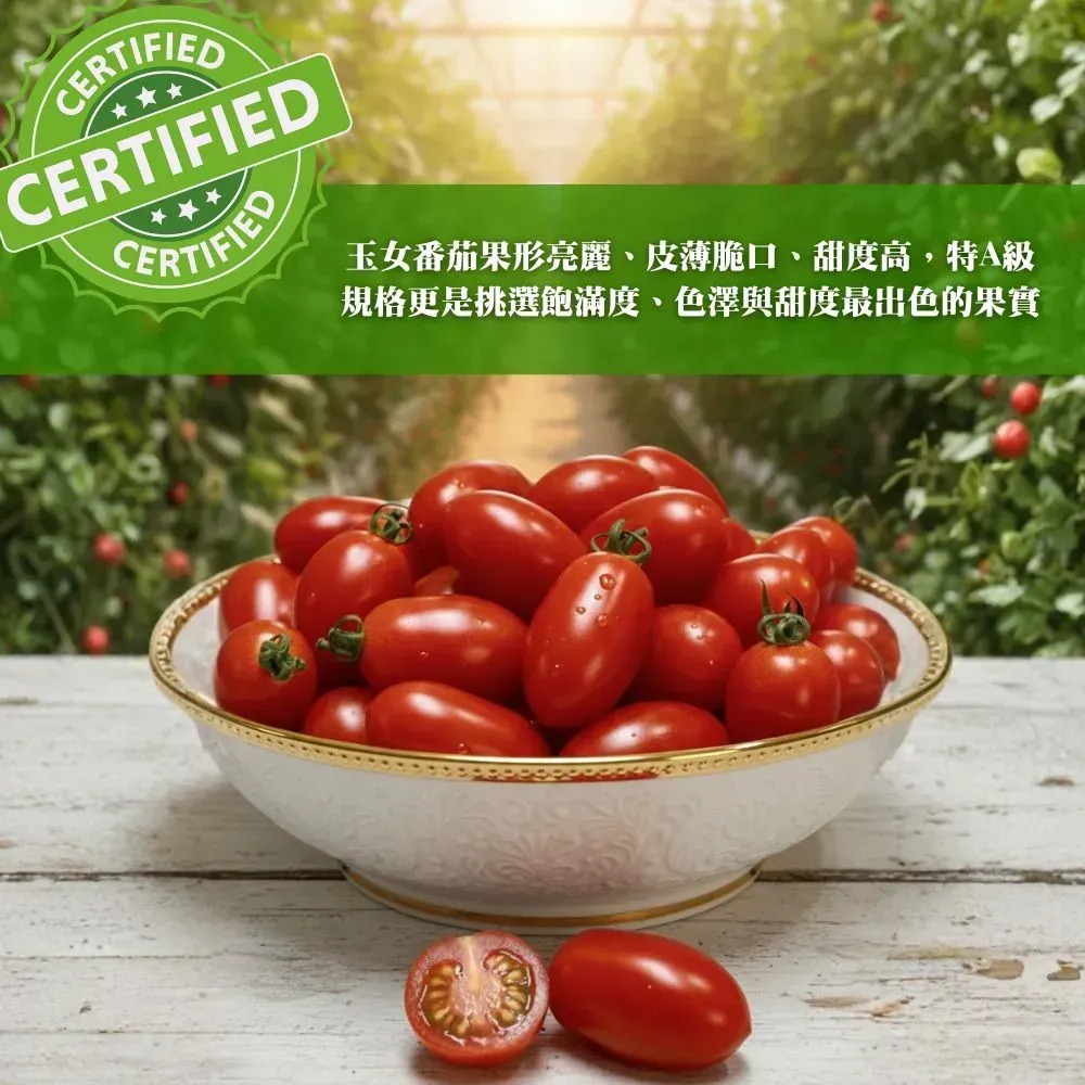 現採溫室A級玉女小蕃茄