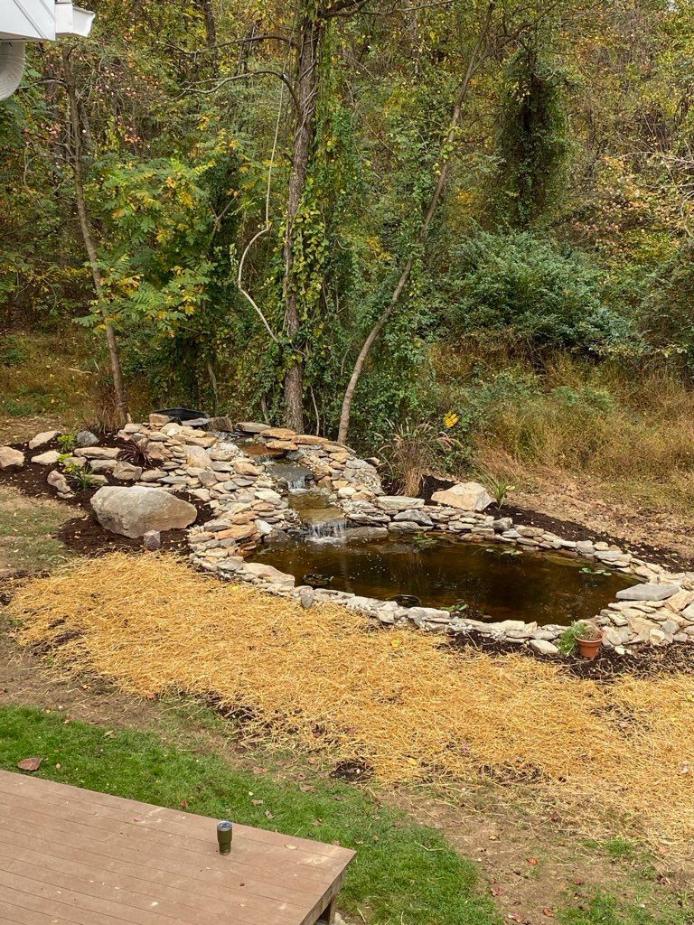 A small pond surrounded by rocks and trees in a backyard.