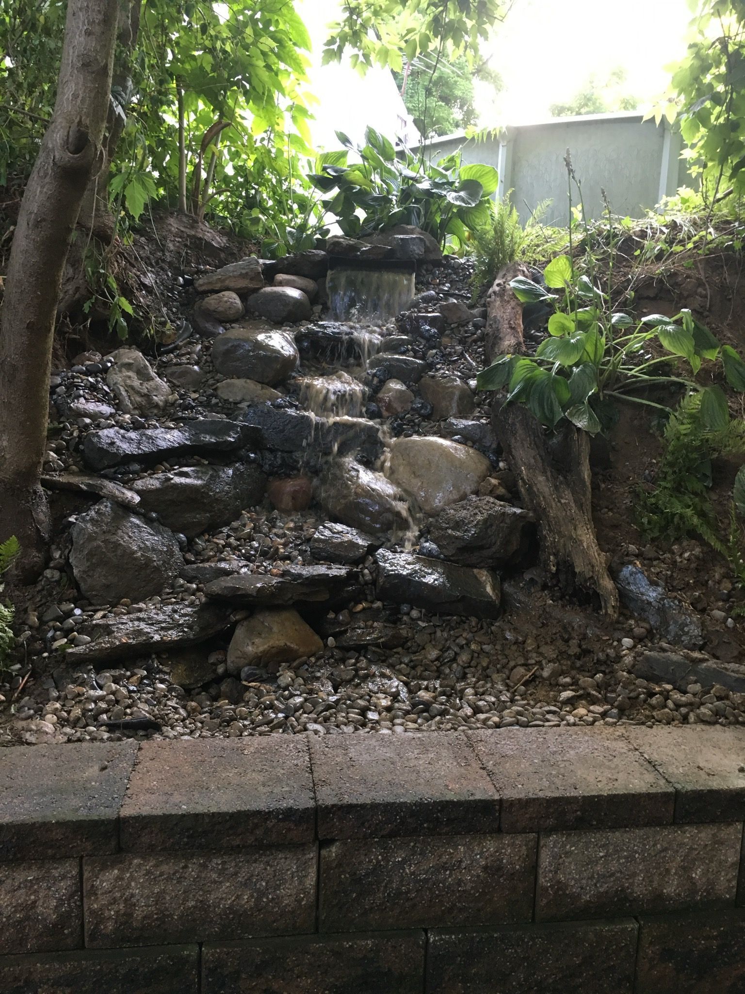 A waterfall is surrounded by rocks and trees in a garden.