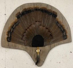 a wooden fan with feathers on it is hanging on a wall — Mountain Critters Taxidermy — Newville, PA