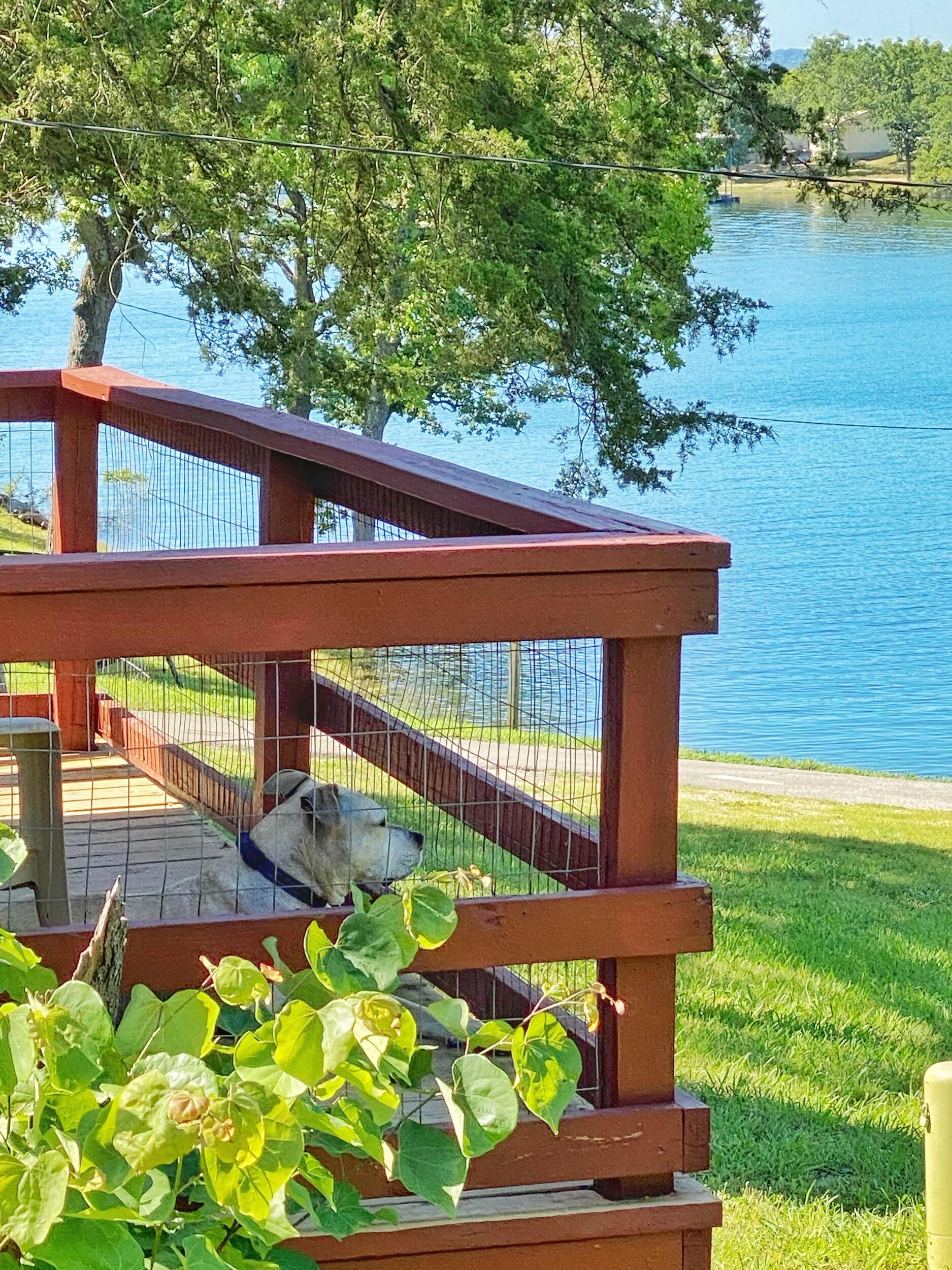 Wooden deck with red railings and a wire fence overlooking a lake with trees.