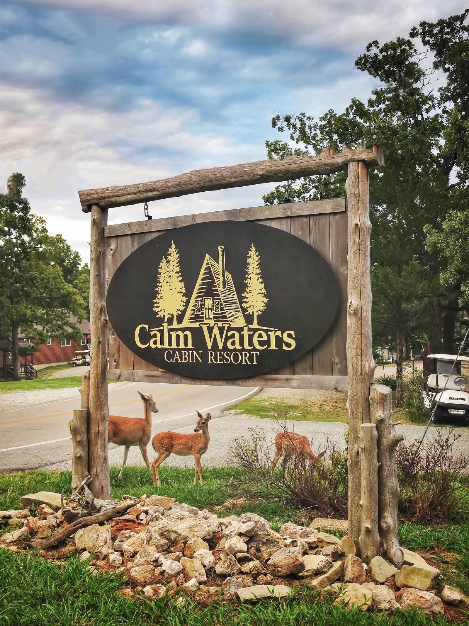 Sign for Calm Waters Cabins Resort with deer in front.