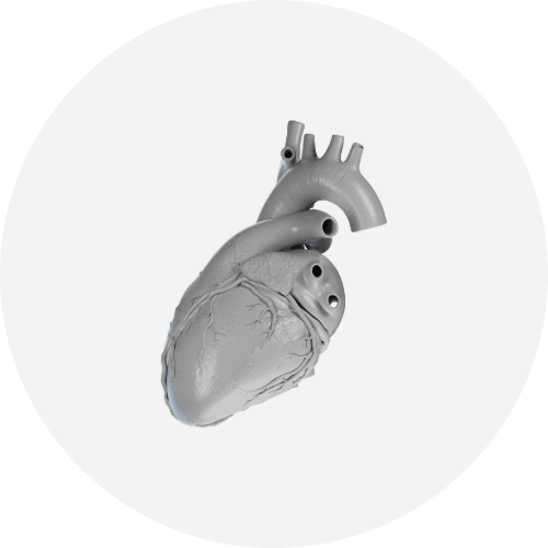 Computer screen displaying medical imaging of a heart, showing various views and analyses of internal structures.