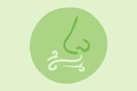allergy and odor free logo
