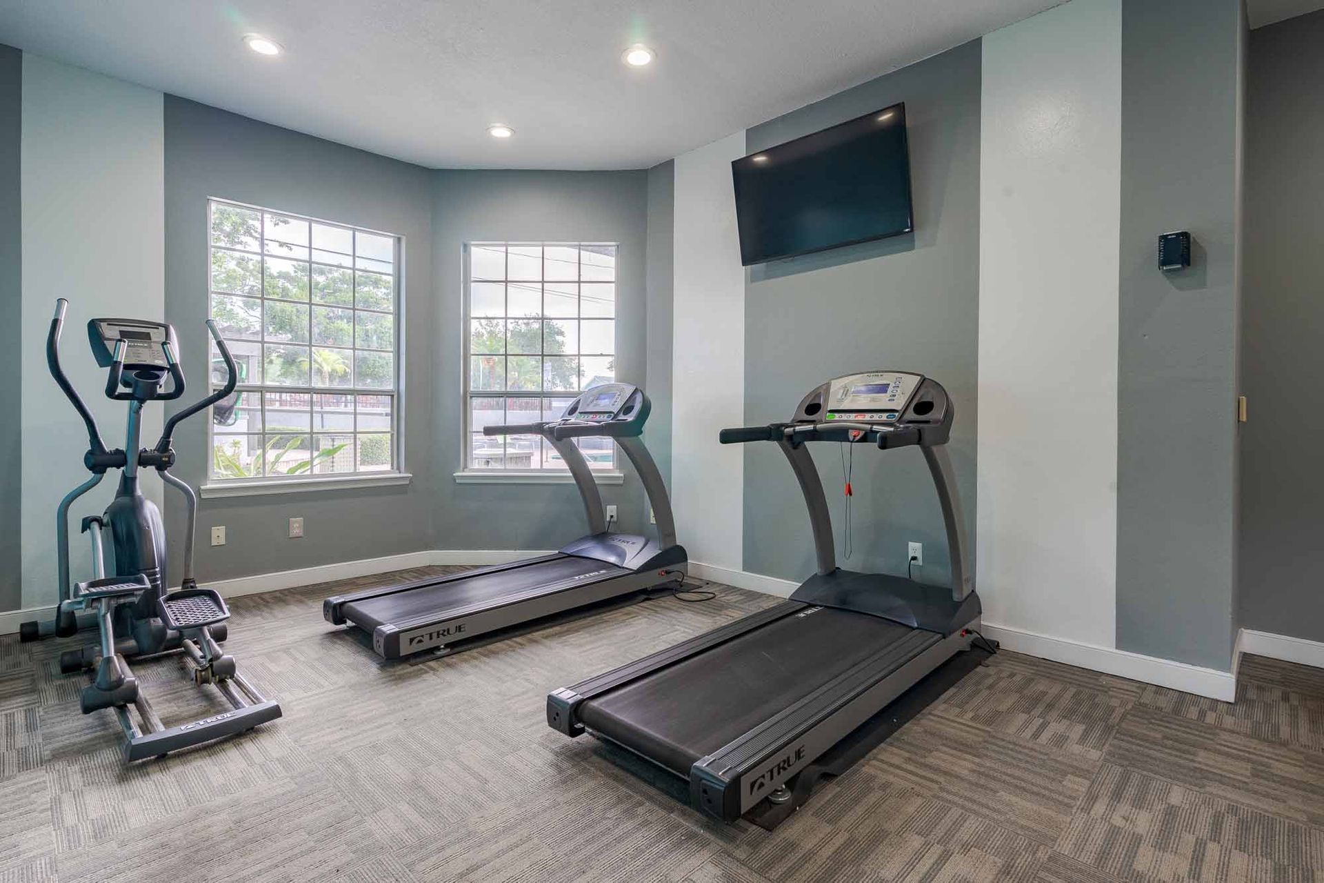 Gym with ellipticals, treadmills, windows, and TV on the wall. Light gray and white walls. Schedule your walkthrough and see our Apartments in Clearwater, FL firsthand.