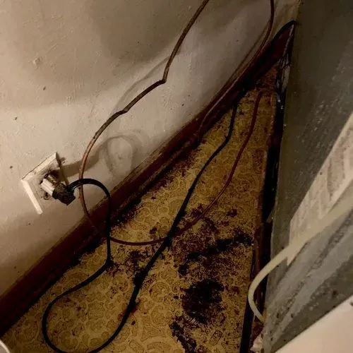 A messy corner with electrical wires, a wall outlet, and stained flooring. Brown and black colors dominate.