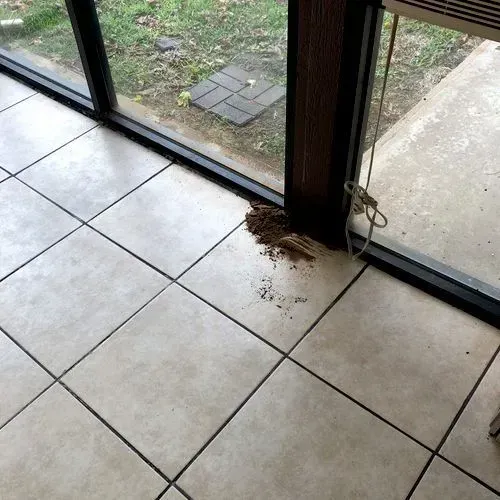 Brown debris on tiled floor next to a window and door frame; sunlight enters the room.