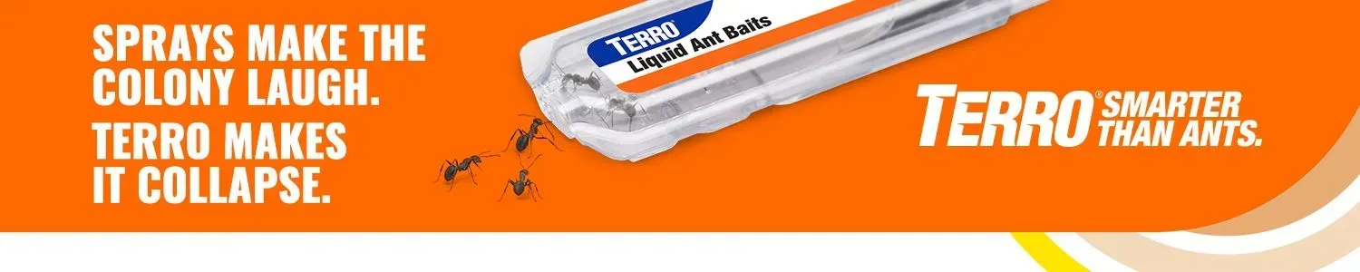 TERRO ant bait trap with ants on an orange background, text: