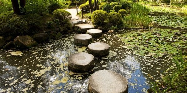 Stepping stones in a pond