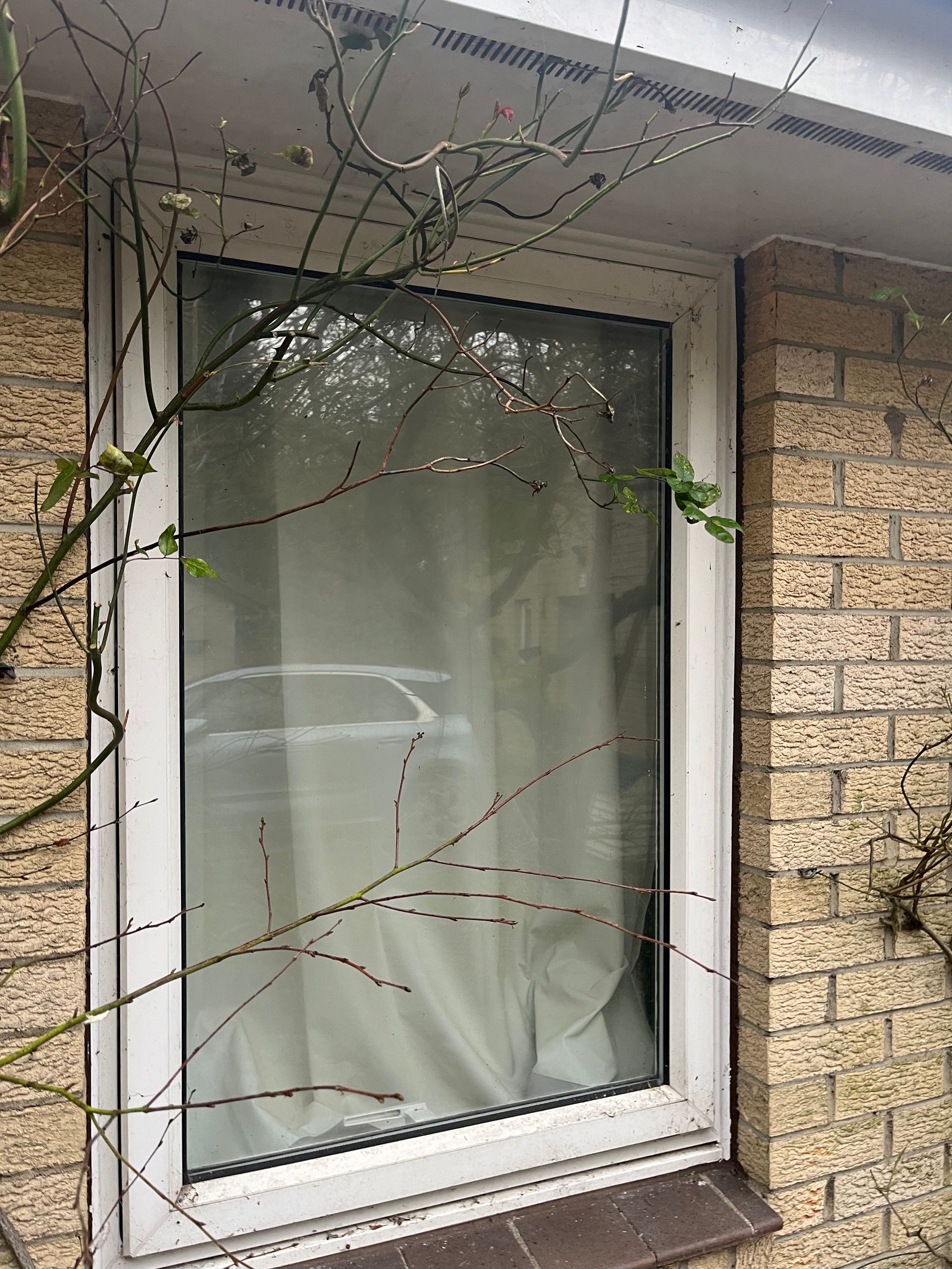A rectangular window framed in white, partially obscured by bare branches. The window reflects a car