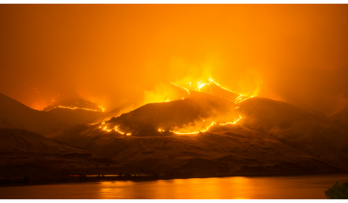 wildfire wildfires