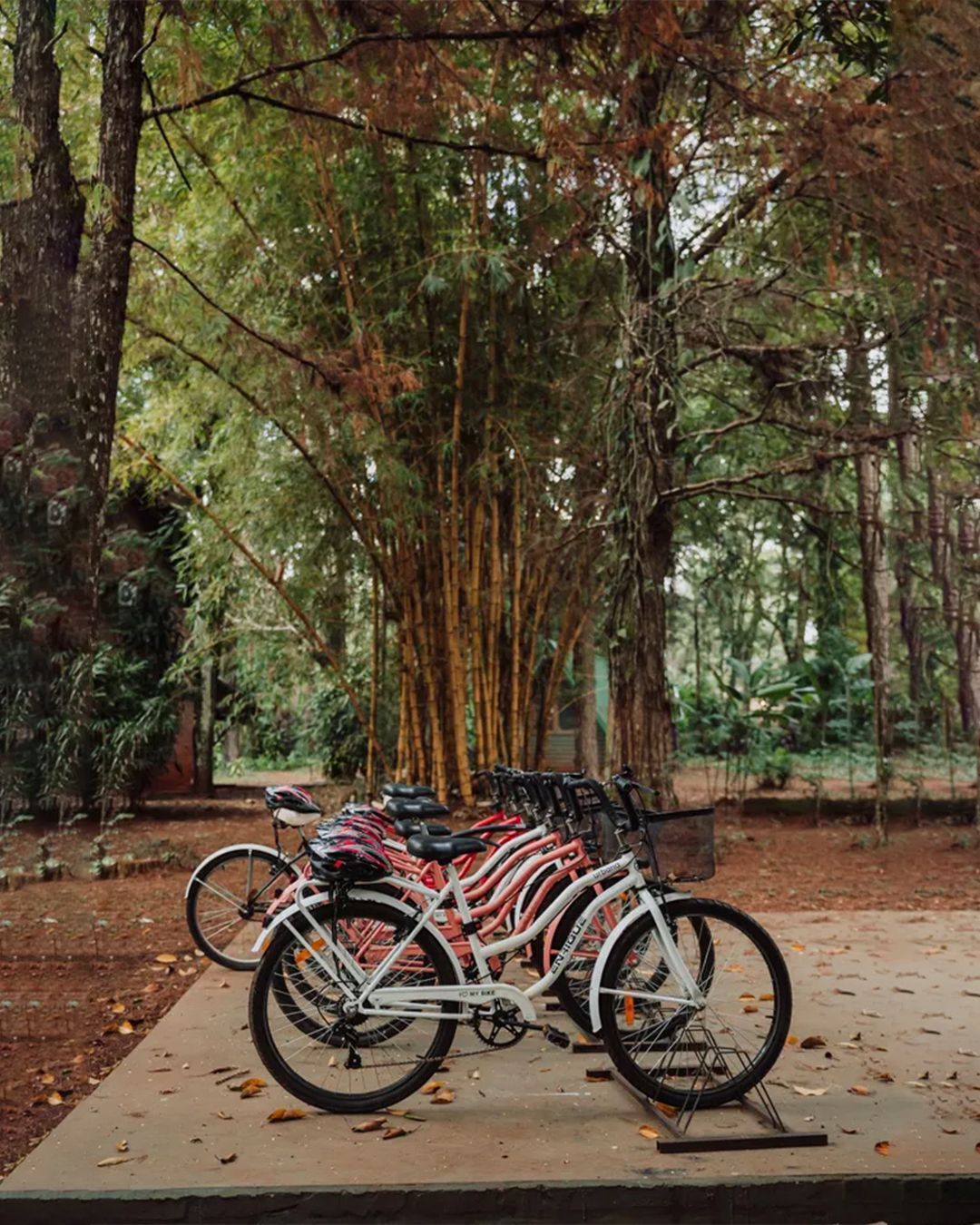 naturaleza