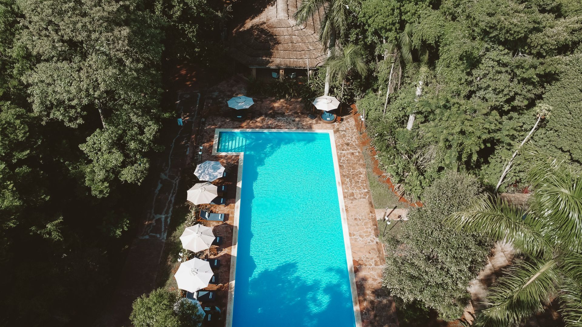 Vista aérea de la piscina exterior de Overo Iguazú Lodge rodeada de vegetación selvática, un oasis de tranquilidad y lujo.