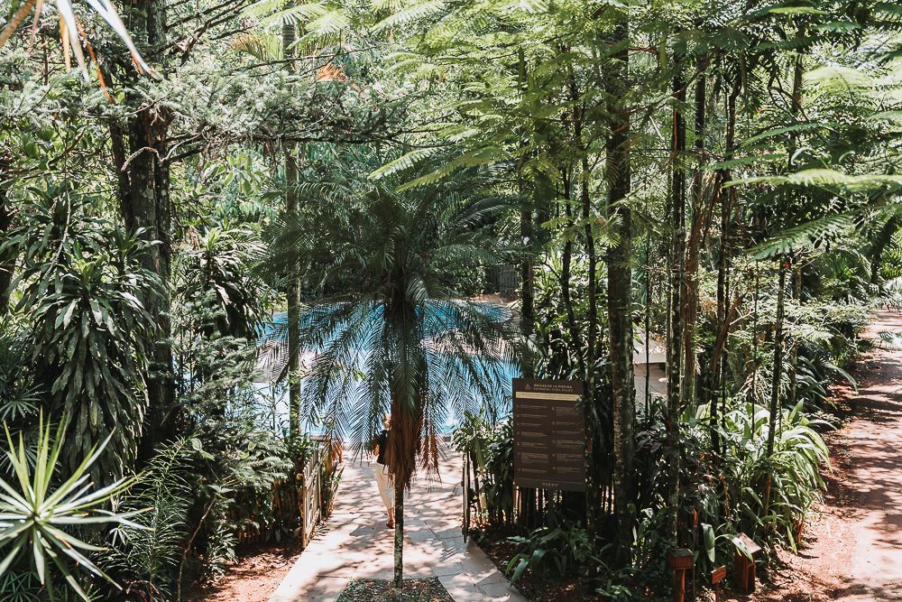PISCINA SELVA
