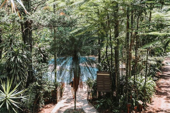 PISCINA SELVA
