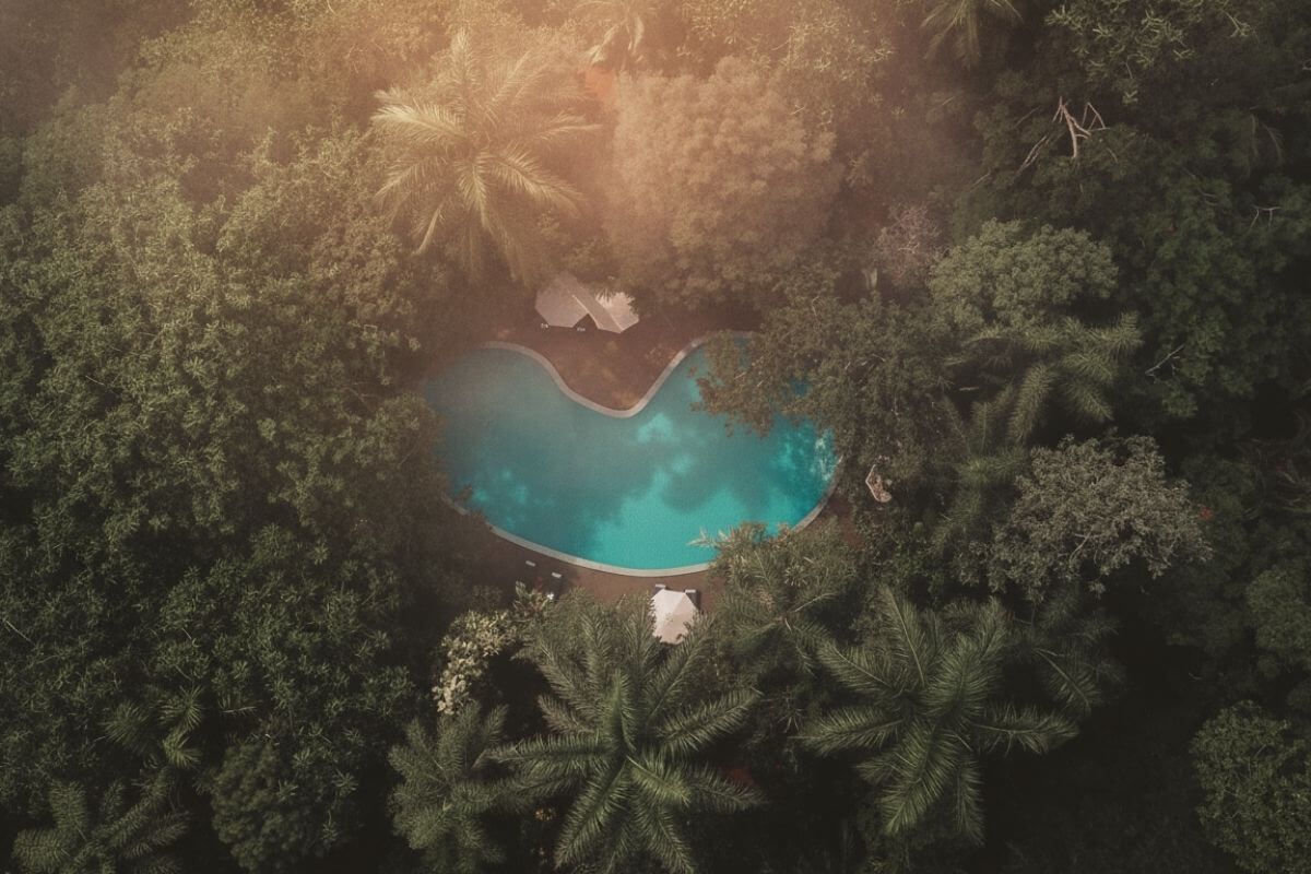Selva en Iguazu