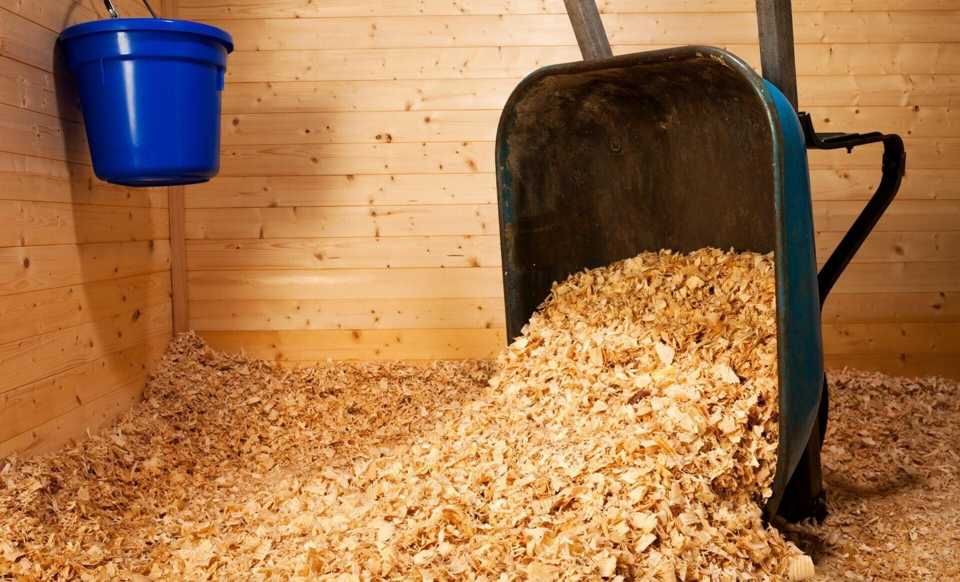 changing the bedding can help with COPD in horses