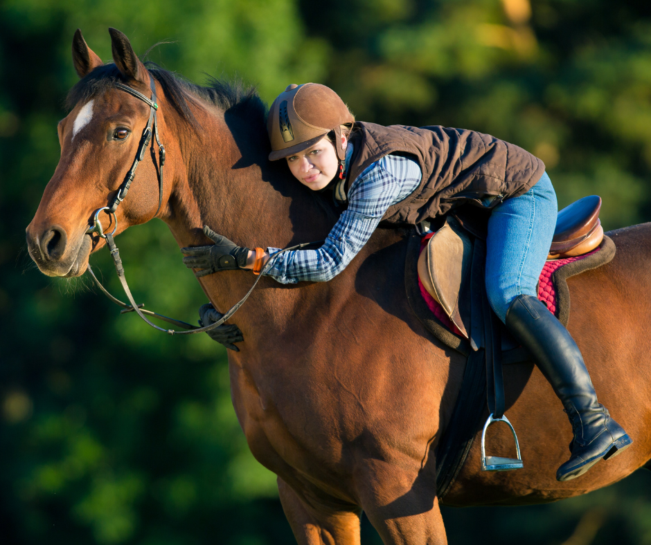 Are you having trouble figuring out what's going on with your horse?