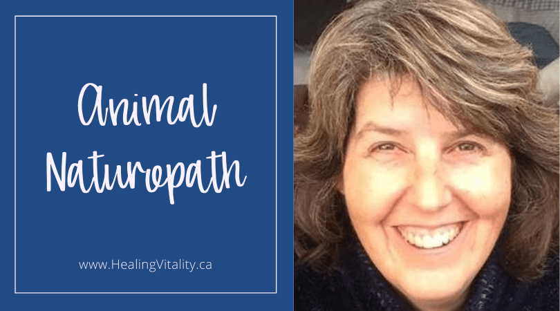 Animal Naturopath in Moncton Canada