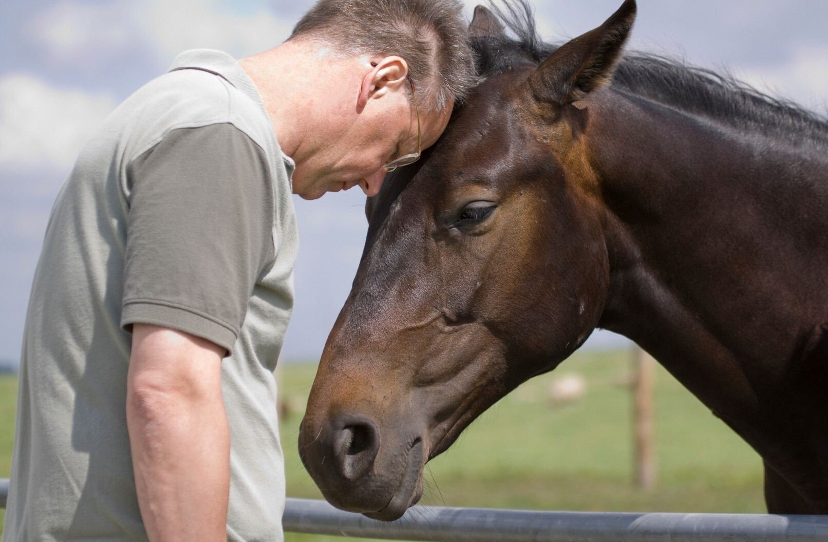 Animal Naturopath in Moncton Canada