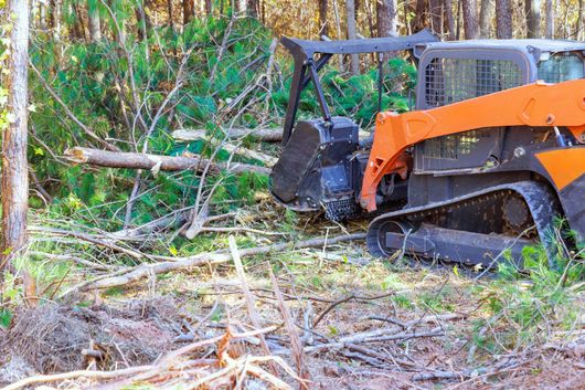 Orange excavator clearing fallen trees in a wooded area
