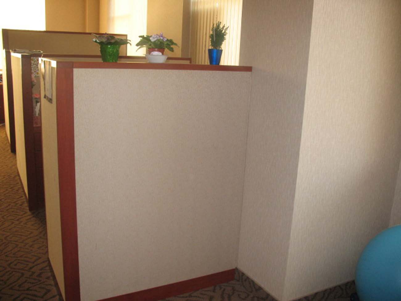 A corner of a room with two potted plants on top of it