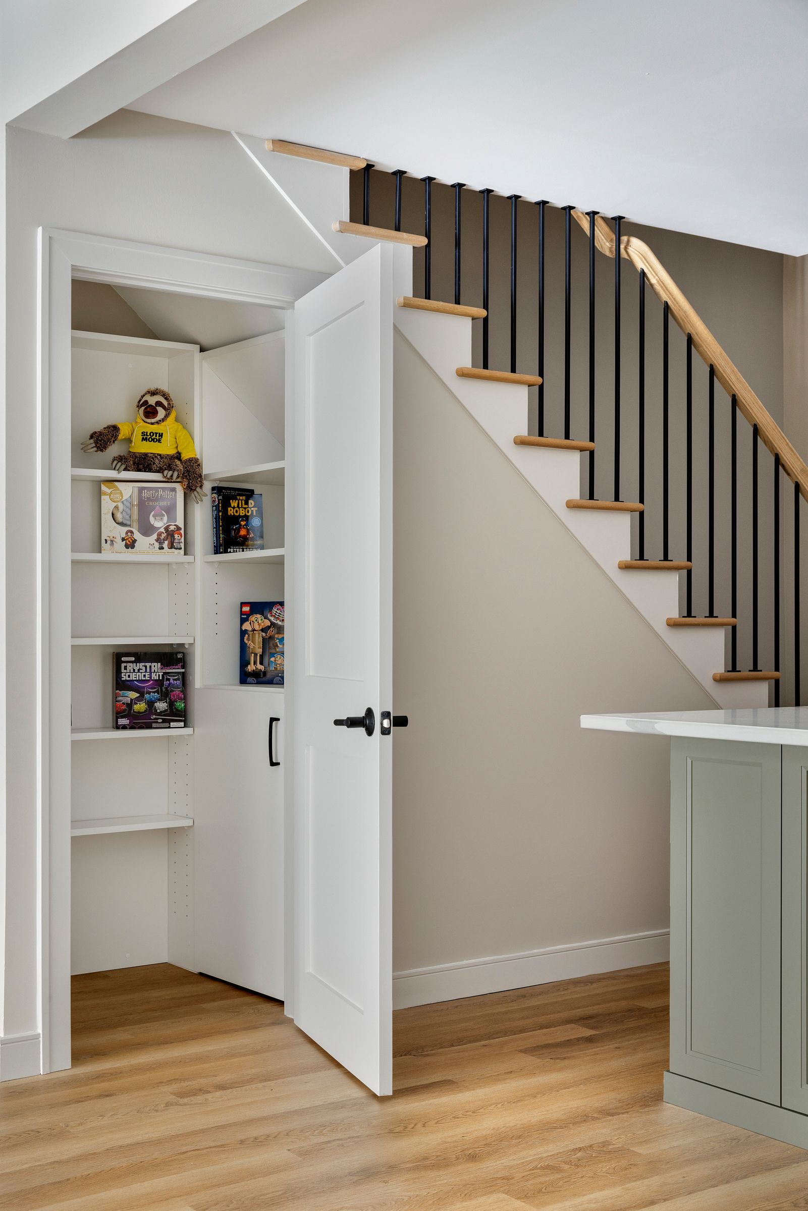 Open door to a small closet under a staircase with shelves and toys in a bright room