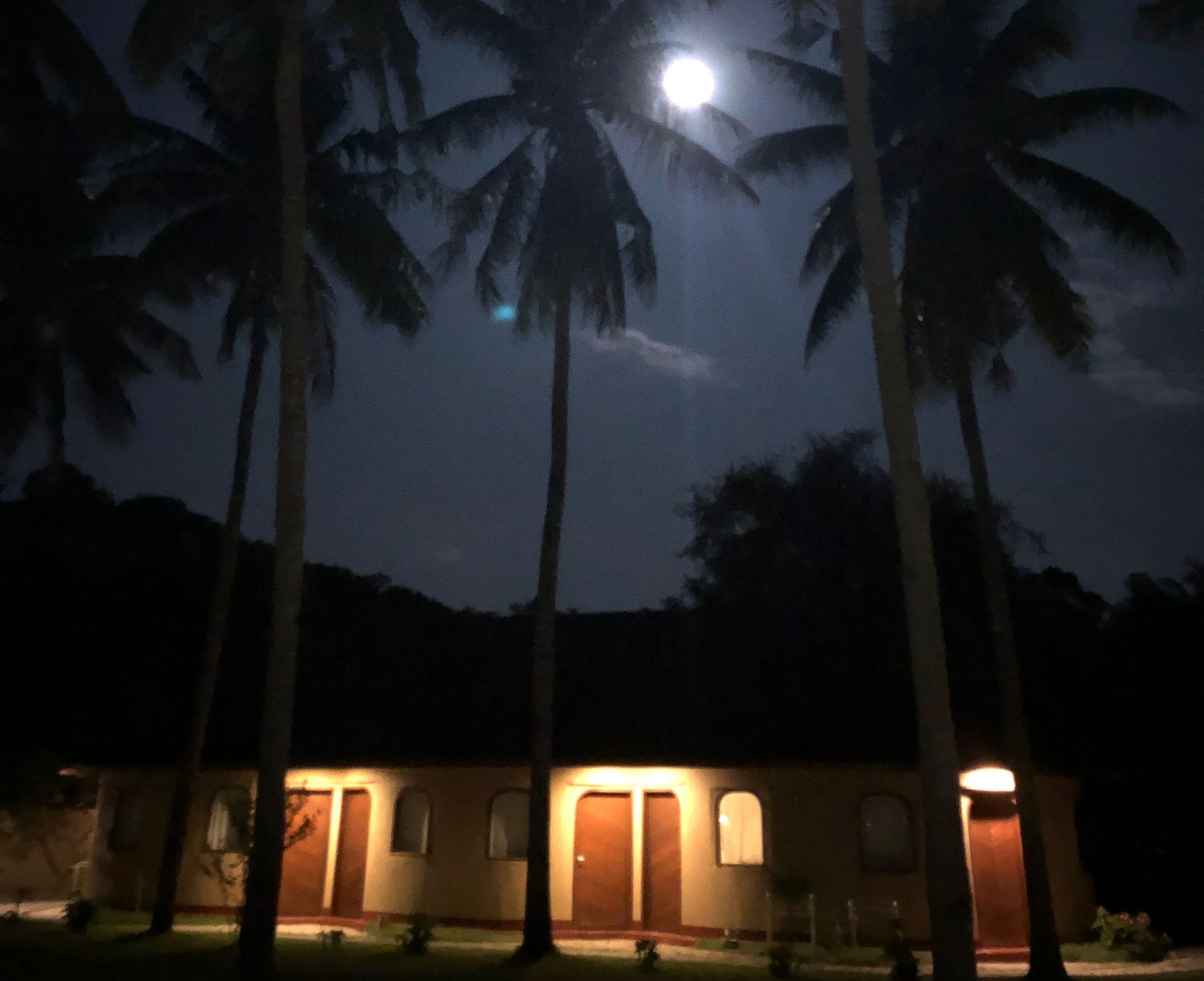 A house is lit up at night with palm trees in the foreground