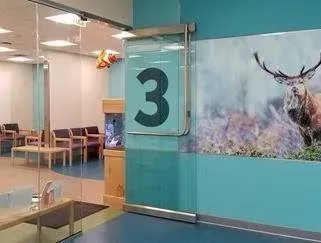 A waiting room with a picture of a deer on the wall.