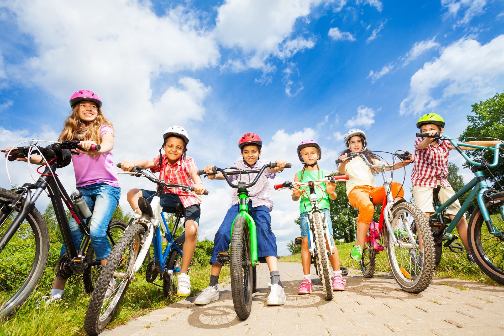Group of children on bikes outside.
