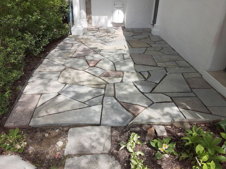 Stone walkway leading to a white door, bordered by plants and a hedge, with sunlight and leaf shadows