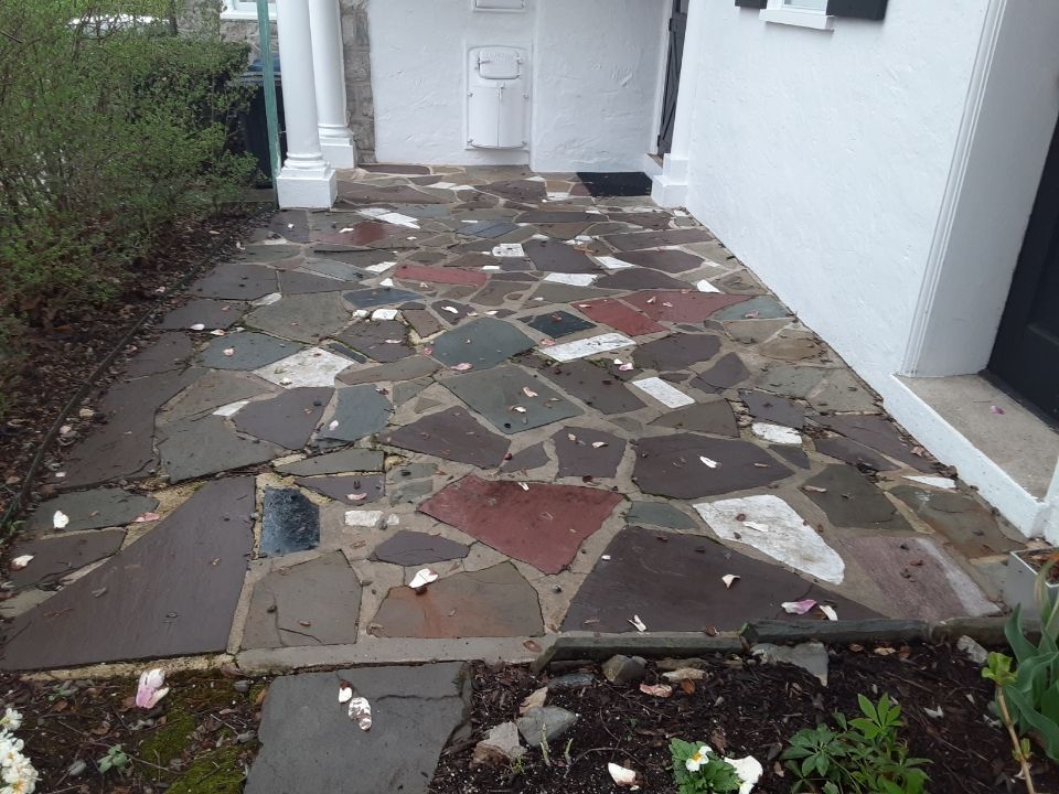 Mosaic stone walkway leading to a white front door, bordered by shrubs and white walls