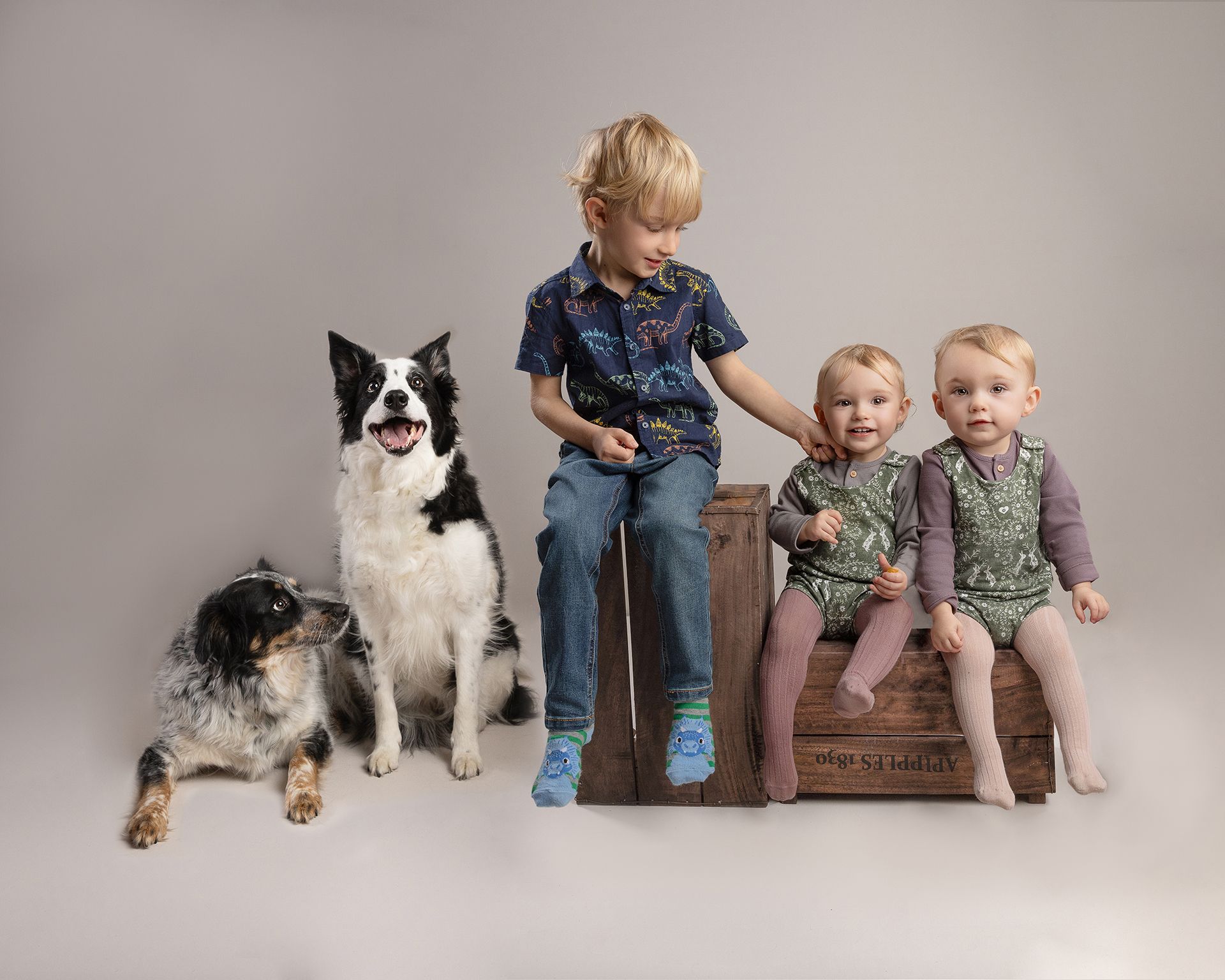 Family portrait: boy with twin toddlers on a wooden crate, two dogs.