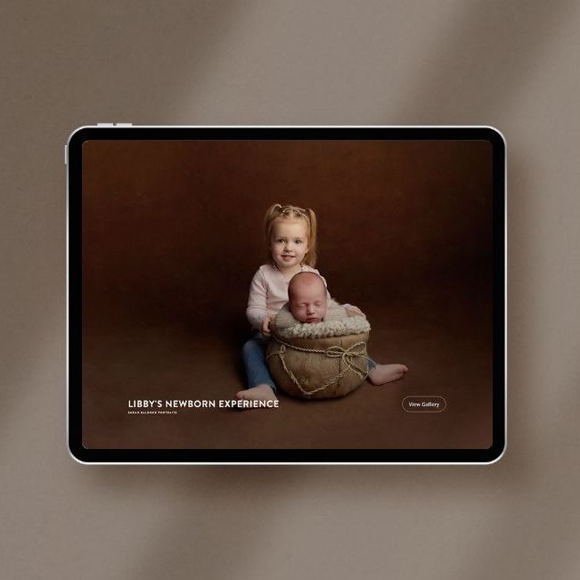 A toddler and newborn in a basket on a brown background, displayed on a tablet.