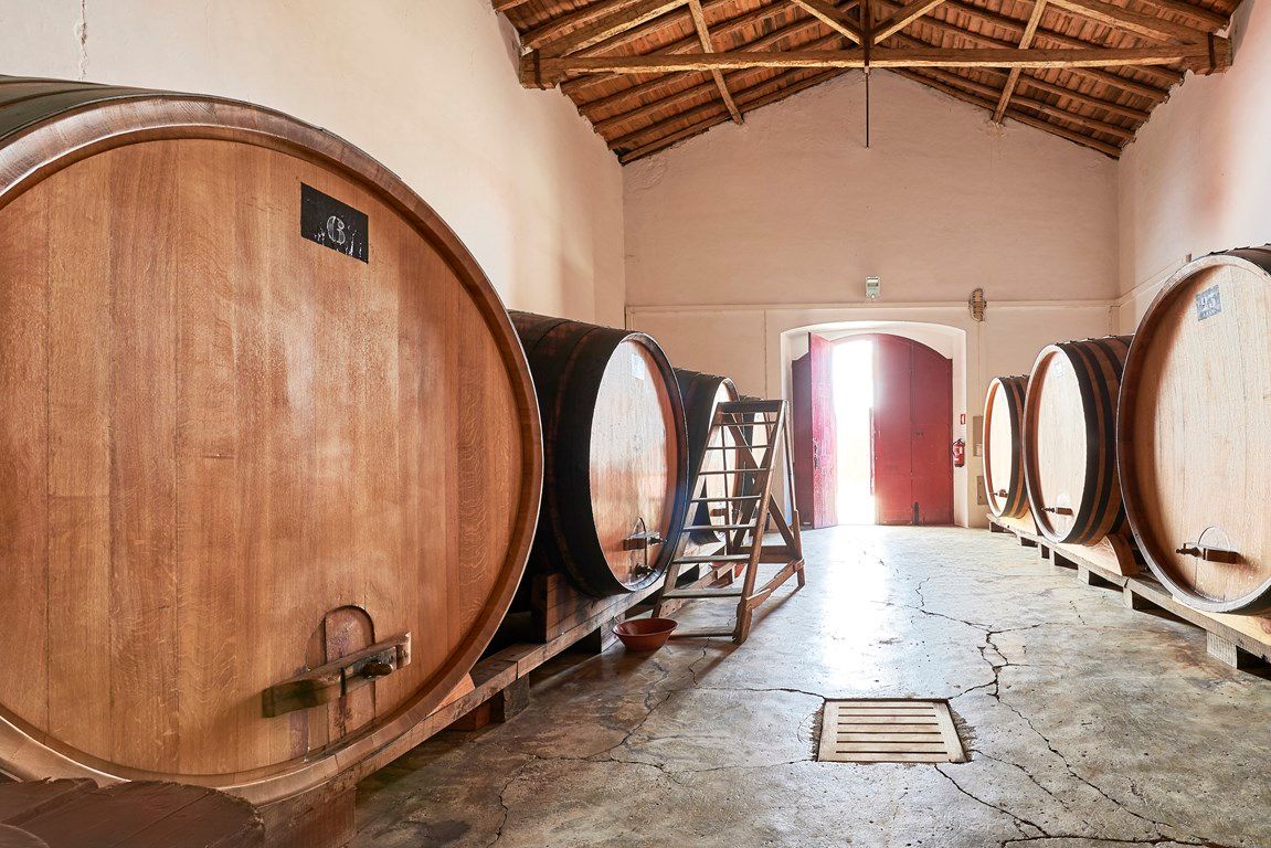 Adega do Mouchão, vinho, vinhos, prova de vinhos, visitar, casa branca, sousel, alentejo