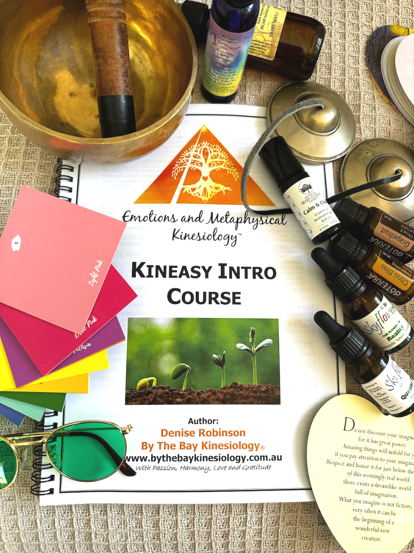 Kineasy Intro Course manual and remedies