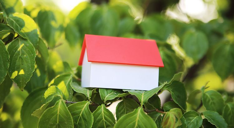A small model house with a red roof is sitting on top of a tree branch.