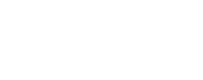 A white background with a few lines on it