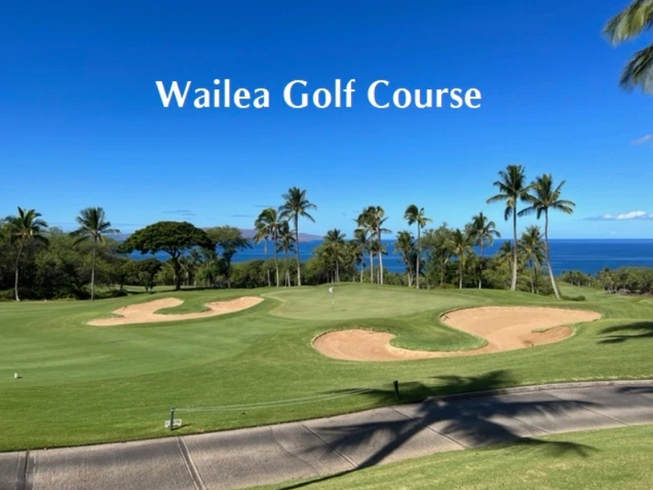 Wailea Golf Course with green fairways, sand bunkers, and palm trees under a blue sky