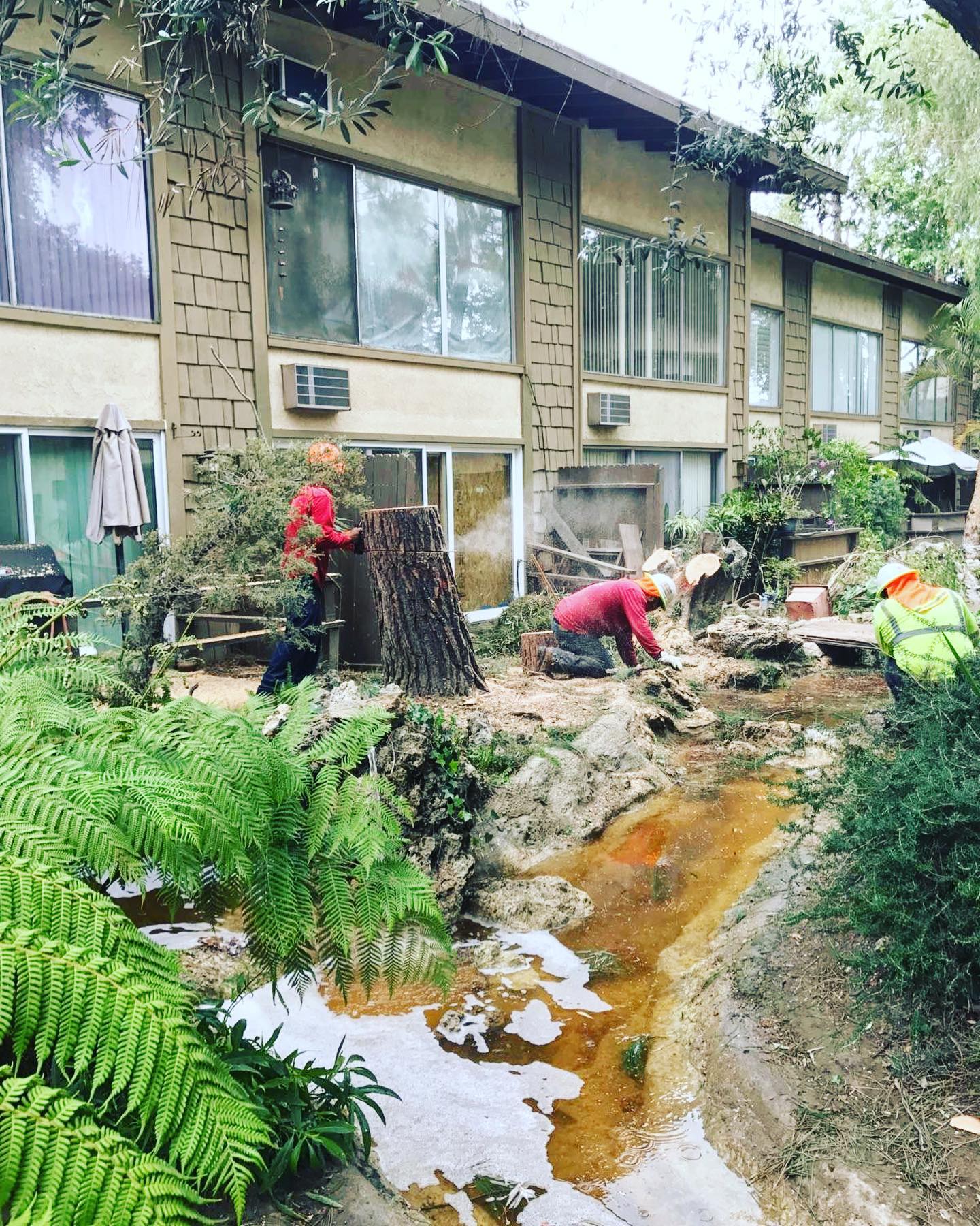 Tree Removal project by Tree Pros Inc.