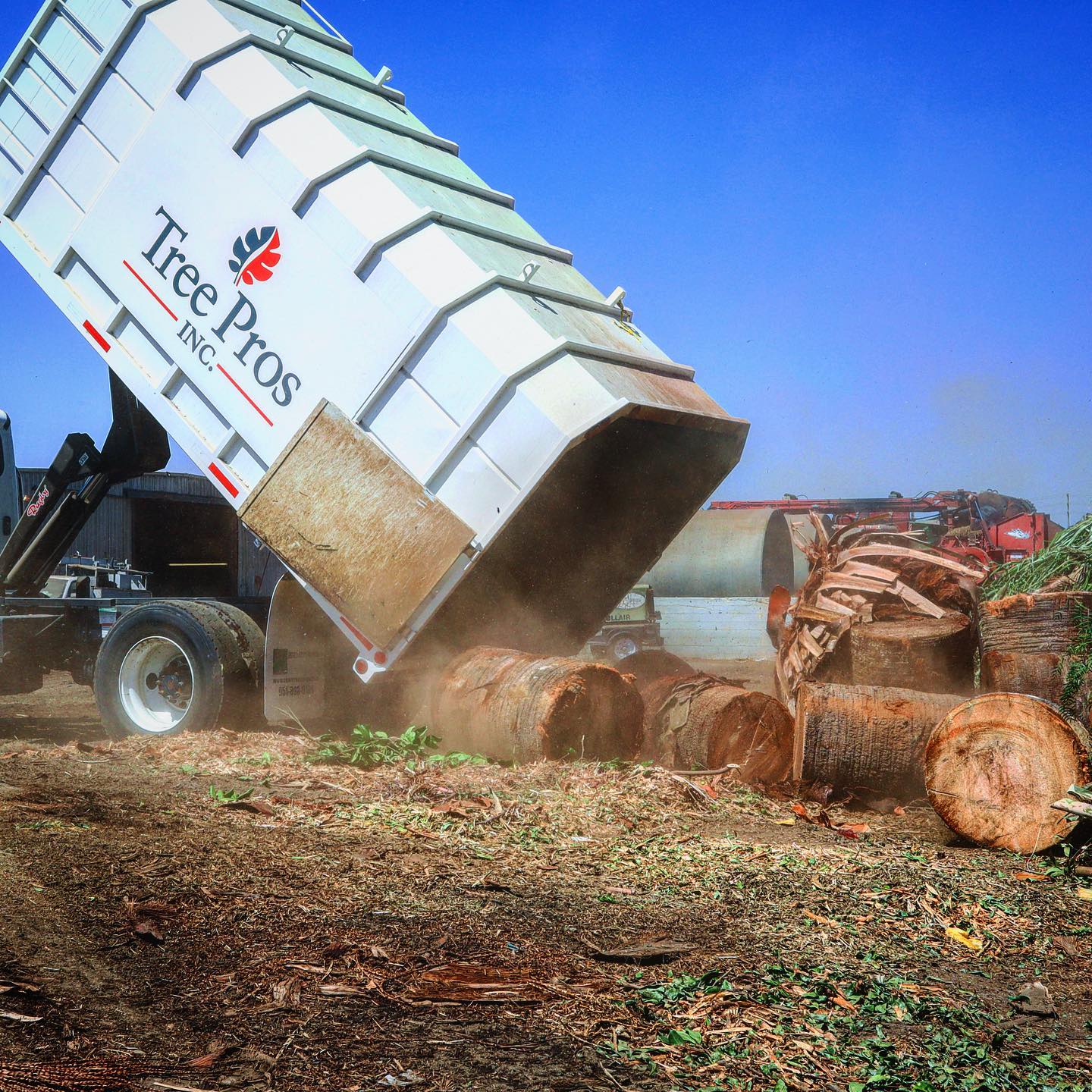 Tree Removal project by Tree Pros Inc.